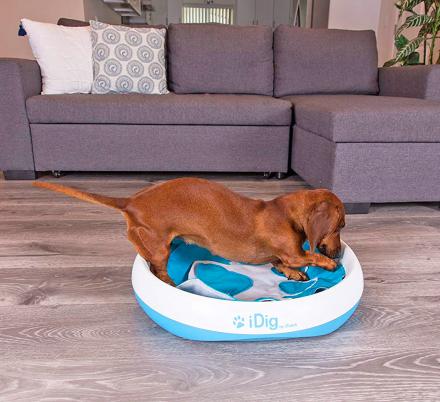 This Ingenious Dog Digging Toy Helps Satisfy Your Dogs Need To Dig Without Them Damaging Anything