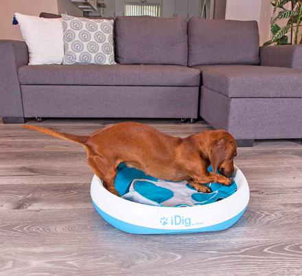 This Ingenious Dog Digging Toy Helps Satisfy Your Dogs Need To Dig