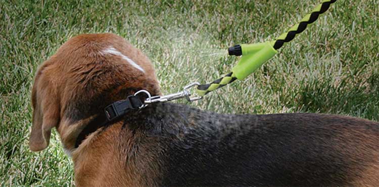 Dog Leash With Misting Water Sprayer - Leash with water sprays the back of your dogs neck on hot days