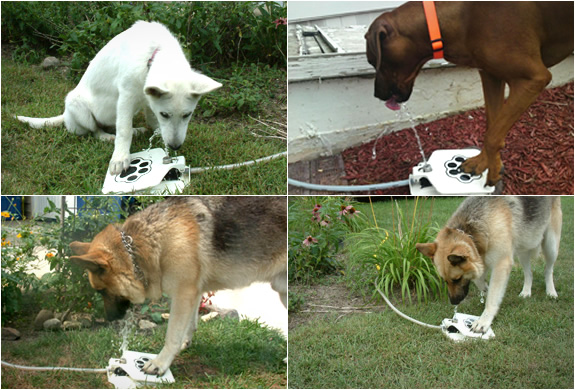 dog hose water fountain