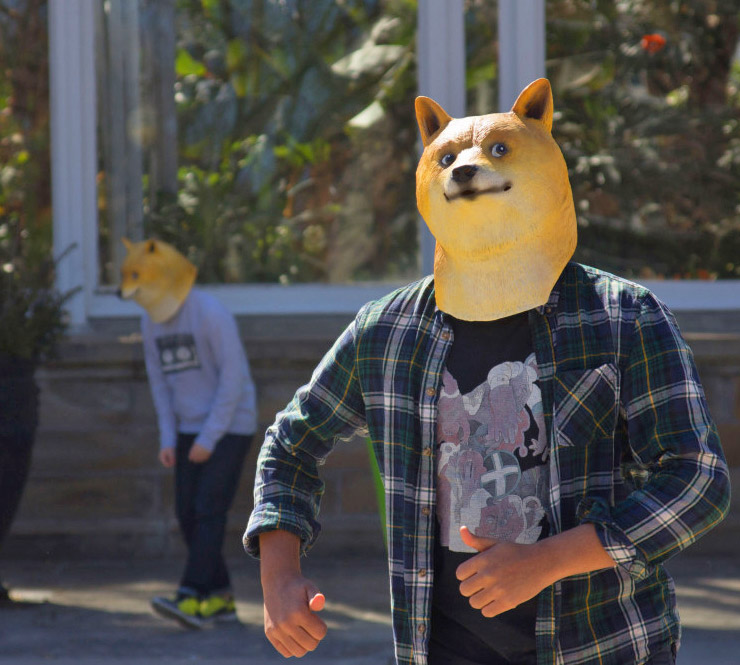 Doge Mask