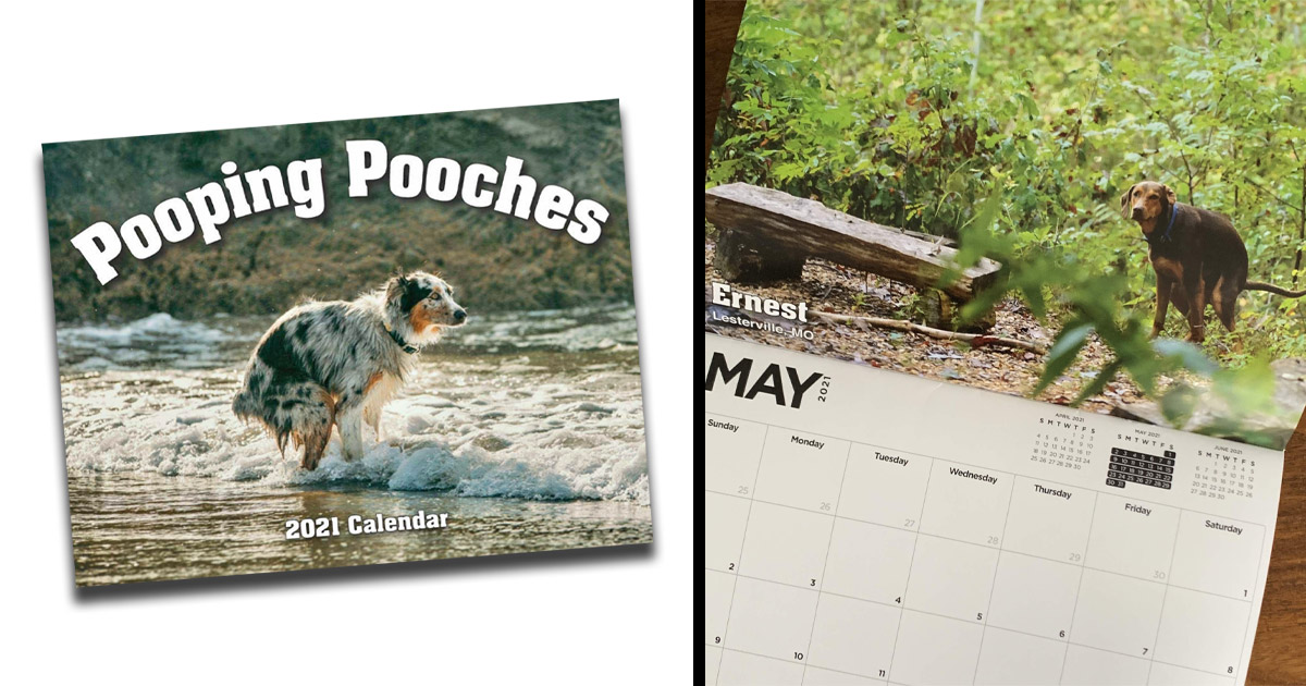 Dogs Pooping Calendar 2021