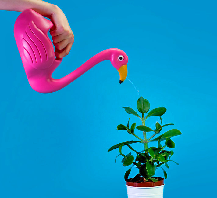 Abbott 27-Flamingo/CAN Collection Flamingo Watering Can