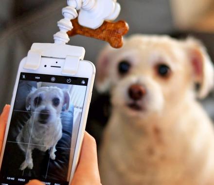 Flexy Paw Treat Holder Attaches To Your Phone For Perfect Pictures of Your Dog