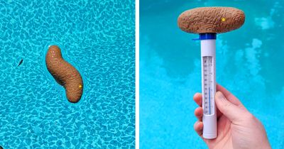This Pool Thermometer Looks Like a Floating Poo