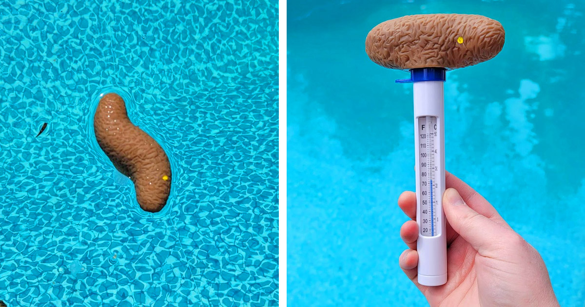 This Pool Thermometer Looks Like a Floating Poo
