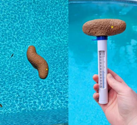 This Pool Thermometer Looks Like a Floating Poo