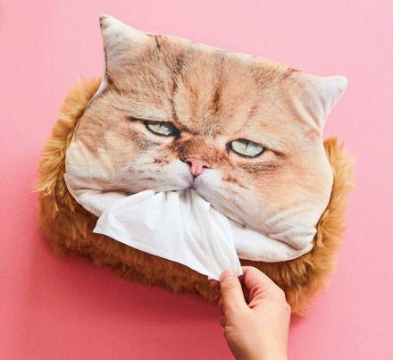 The Most Hilarious Cat Butt Pillow Pre-Sale – Knot By Gran'ma