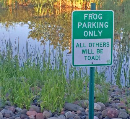 Frog Parking Only Violators Will Be Toad Sign