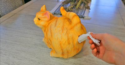 This Cat Butt Tissue Dispenser Is Perfect For Any Cat Lady In Your Life