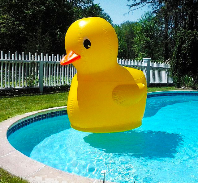 oversized rubber ducky