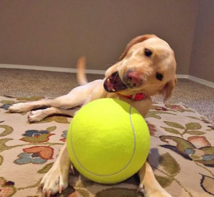 Giant Tennis Ball