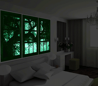 Glow In The Dark Wall Mural That Makes It Look Like You Have a Window