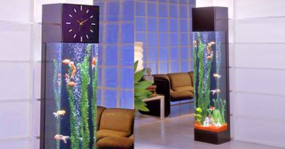 Grandfather Clock Fish Aquarium