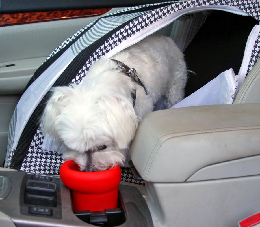 dog water bowl holder