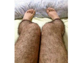 Hairy Legs Stockings