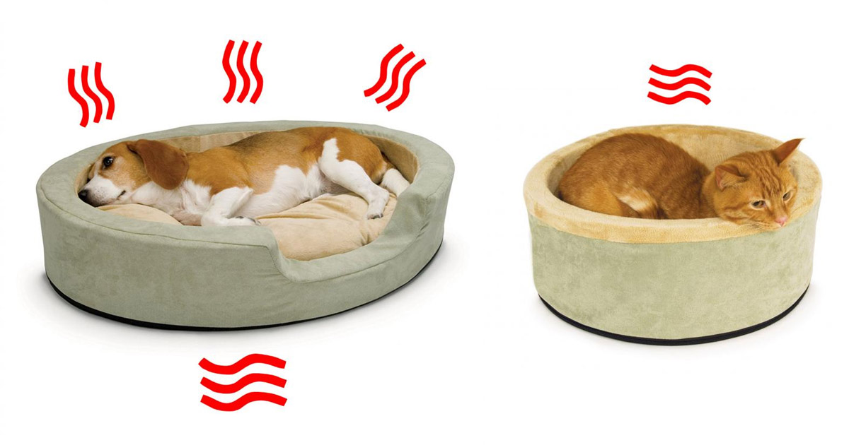 Heated Pet Beds That'll Keep Your Dogs and Cats Toasty All Winter Long