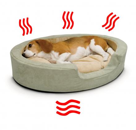 Heated Pet Beds That'll Keep Your Dogs and Cats Toasty All Winter Long