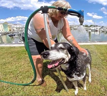 Hose Hooker Holds Garden Hose In Place For Bathing Dog, Watering Plants, and More