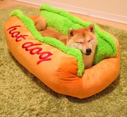 hot dog dog toy