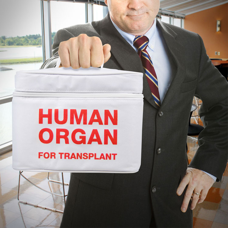 Human Organ Lunchbox