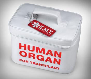 Human Organ Lunchbox