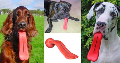 Humunga Tongue: Dog Toy Gives Your Dog a Giant Tongue