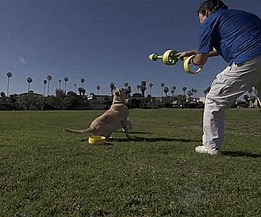 HurriK9: A Flying Ring Dog Toy That Launches Over 100 Feet