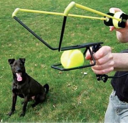 ball throwing device for dogs