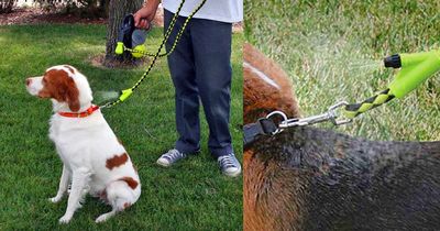 Hyper Pet Cool Down Doggie: A Dog Leash With A Misting Water Sprayer