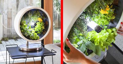 Incredible Rotating NASA-Inspired Indoor Garden Provides Full Garden In Just 1.7 Feet