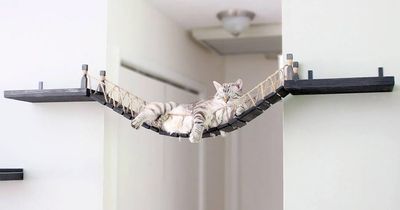 You Can Now Get a Hanging Indiana Jones Rope Bridge For Your Cat To Lounge On