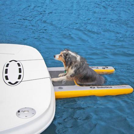 This Inflatable Dog Ramp Helps Your Pooch Get Out Of Water, Attaches To Boat, Dock, or Pool