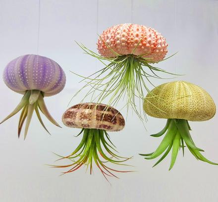 These Jellyfish Planters Hold Your Air Plants Upside-Down