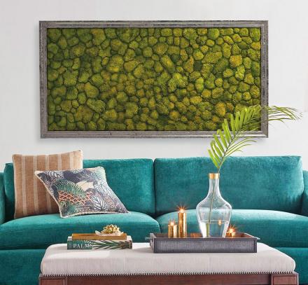 Living Moss Wall Art