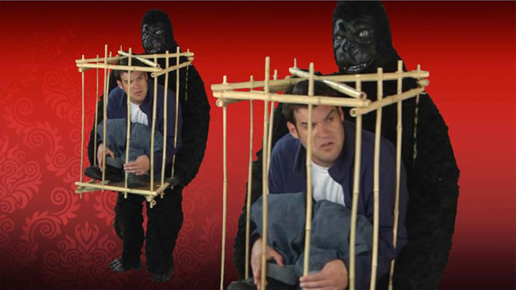 Man In Gorilla Cage Costume