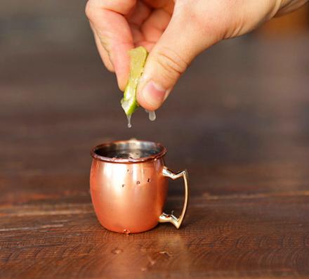 Mini Copper Moscow Mule Mug Shot Glasses (Set of 4)