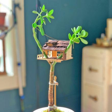 You Can Now Get a Mini Treehouse For Your House Plants, and They're Absolutely Adorable