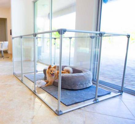 Plexiglass store dog crate