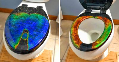 Mood Ring Toilet Seat Mood Ring Toilet Seat