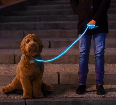 Nitey Leash: LED Light Up Dog Leash Gets You Easily Seen During Night Walks