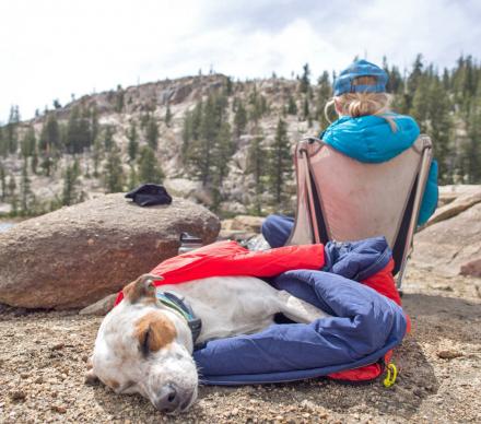 Noblecamper 2-in-1 Dog Sleeping Bag and Dog Bed