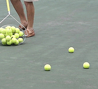 nut-wizard-a-rolling-barrel-to-collect-nuts-golf-balls-tennis-balls-etc-0.gif