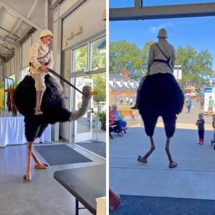 This Ostrich Stilts Costume Is The Most Epic Halloween Costume Idea Ever