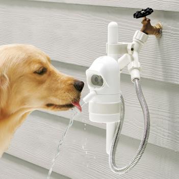 Outside dog water fountain sale