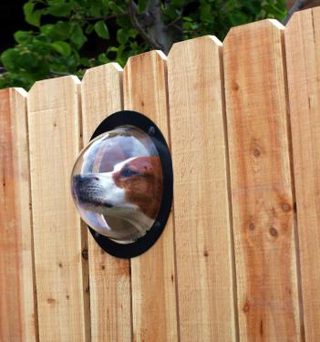 This Bubble Window For Your Fence Allows Your Dogs To Peek To The Other Side