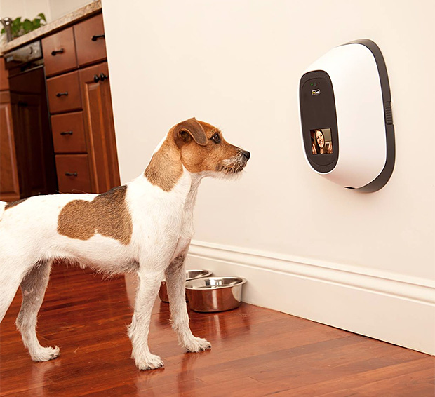 remote pet treat dispenser