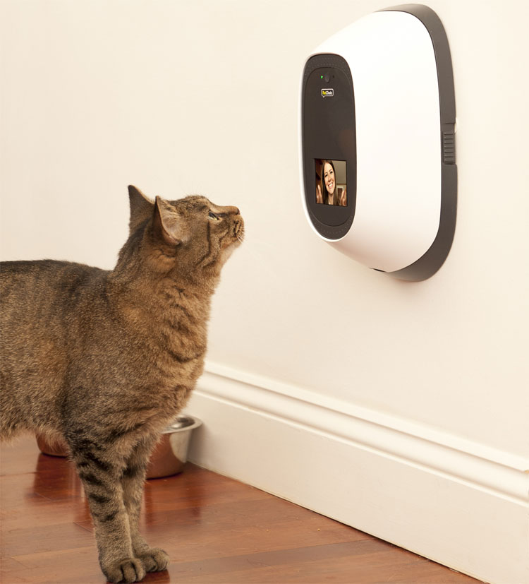 remote pet treat dispenser