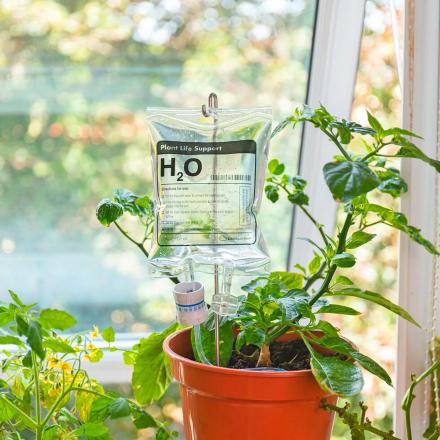 You Can Get Your Plant a Watering IV Bag So You Can Stop Killing Your House Plants