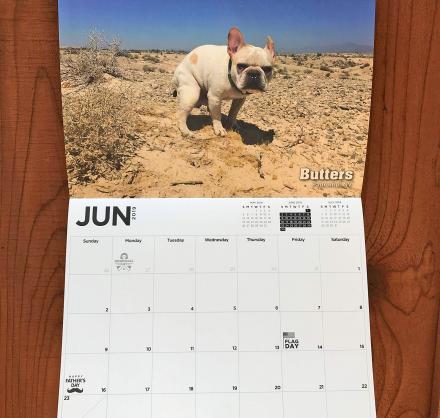Pooping Dogs Calendar 2019